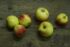 Apfel Jonagold